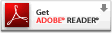 Adobe Reader X