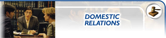Online Paralegal Program - Domestic Relations