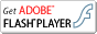 Adobe Flash Player 9
